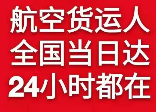龙湾空运公司货物、航空货运:物流行业各岗位招聘
